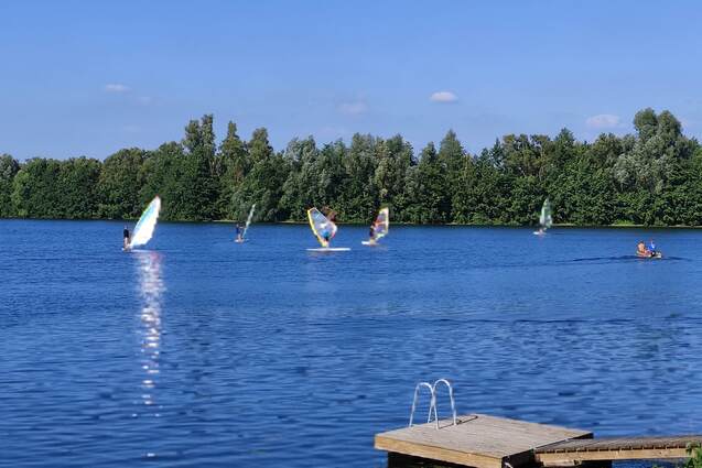 Viele Windsurfer bei blauem Himmel auf einem See